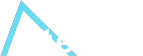 Partner 1